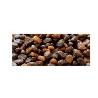 Equilibrio Adult Small Breeds 2Kg