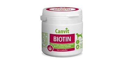 Canvit Biotin Dog 100gr (100 Δισκία)