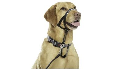 Halti Λουρί/Οδηγός Σκύλου Εκπαίδευσης Headcollar Νο3 Μαύρο (40-56cm)